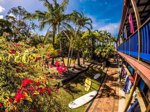 Cool Bananas Backpackers - Nambucca Heads Accommodation 17