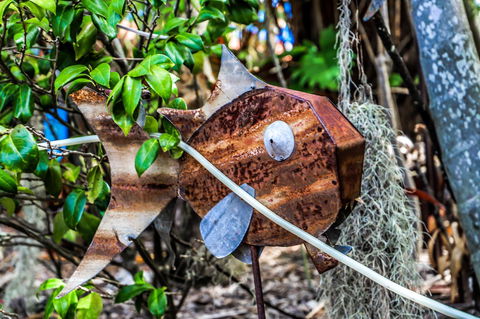 Cool Bananas Backpackers - Nambucca Heads Accommodation 24