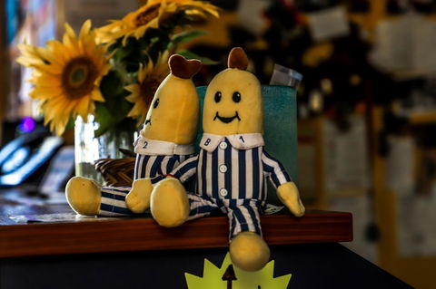 Cool Bananas Backpackers - Nambucca Heads Accommodation 30