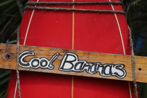 Cool Bananas Backpackers - Nambucca Heads Accommodation 41