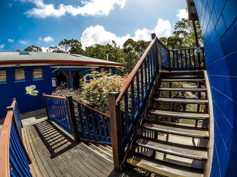 Cool Bananas Backpackers - Nambucca Heads Accommodation 27
