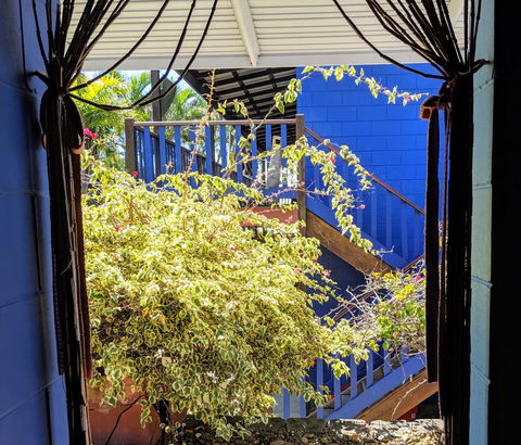 Cool Bananas Backpackers - Nambucca Heads Accommodation 10