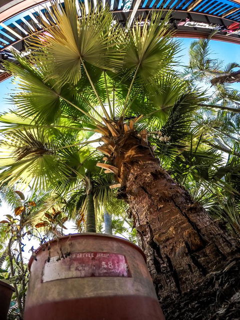 Cool Bananas Backpackers - Nambucca Heads Accommodation 14