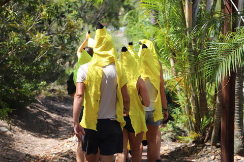 Cool Bananas Backpackers - Nambucca Heads Accommodation 19