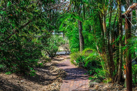 Cool Bananas Backpackers - Nambucca Heads Accommodation 15