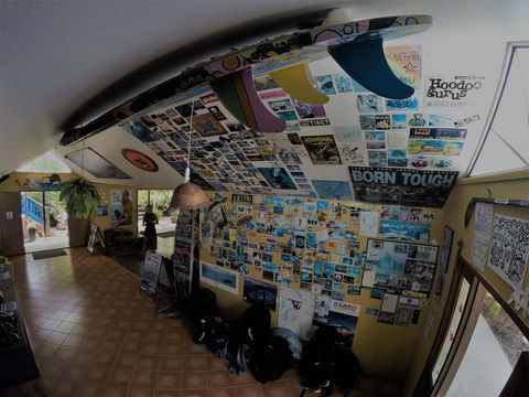 Cool Bananas Backpackers - Nambucca Heads Accommodation 31