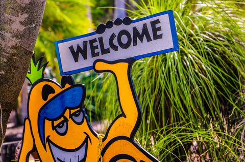 Cool Bananas Backpackers - Nambucca Heads Accommodation 37