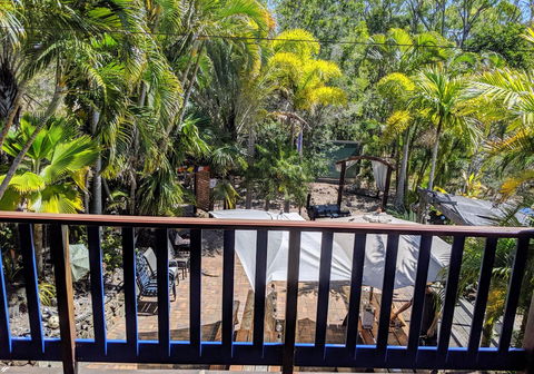Cool Bananas Backpackers - Nambucca Heads Accommodation 4