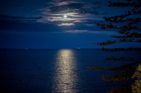 The Sebel Brisbane Margate Beach - Nambucca Heads Accommodation 10