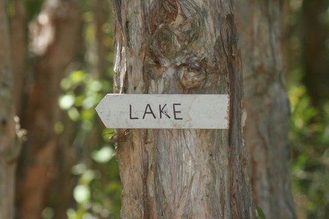 Lake Weyba Noosa Lodge & Kangaroos - Nambucca Heads Accommodation 36