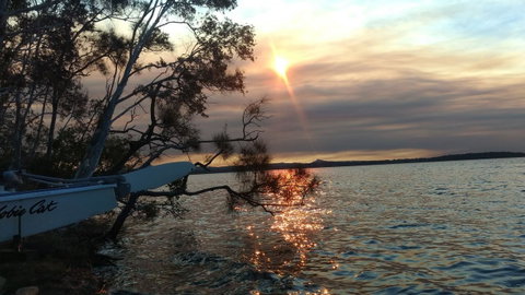 Lake Weyba Noosa Lodge & Kangaroos - Nambucca Heads Accommodation 40
