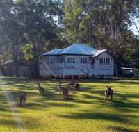 Lake Weyba Noosa Lodge  Kangaroos - Nambucca Heads Accommodation