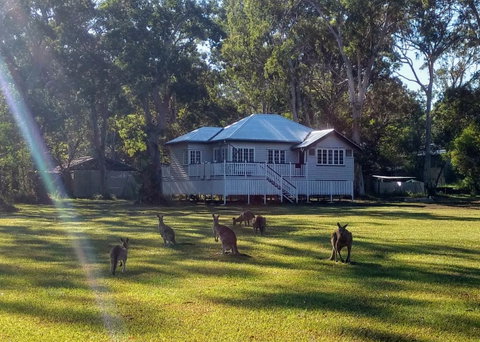 Lake Weyba Noosa Lodge & Kangaroos - Nambucca Heads Accommodation 0