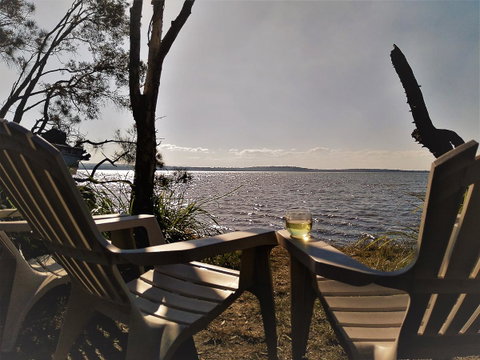 Lake Weyba Noosa Lodge & Kangaroos - Nambucca Heads Accommodation 3