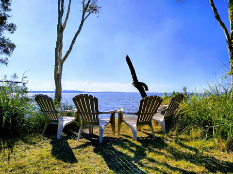 Lake Weyba Noosa Lodge & Kangaroos - Nambucca Heads Accommodation 44