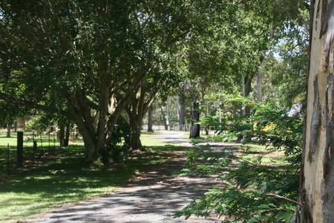 Lake Weyba Noosa Lodge & Kangaroos - Nambucca Heads Accommodation 34