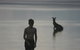 Lake Weyba Noosa Lodge & Kangaroos - thumb 37