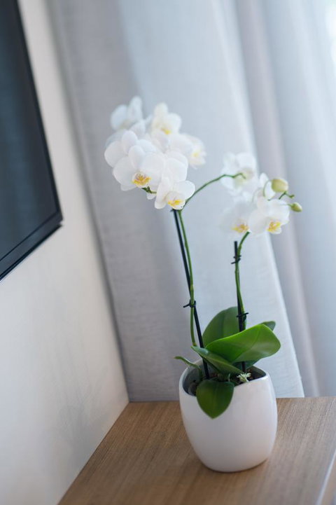Heart Hotel And Gallery Whitsundays - Nambucca Heads Accommodation 28