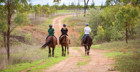 Ironbark House - Nambucca Heads Accommodation 22