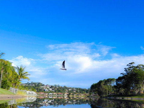 Bay Of Palms - Nambucca Heads Accommodation 18