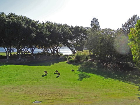Waterfront Resort Villa With Buggy - Nambucca Heads Accommodation 32