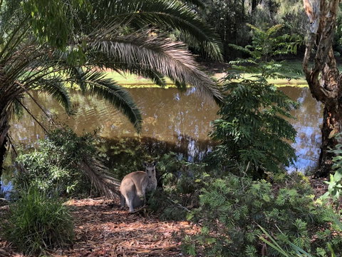 Waterfront Resort Villa With Buggy - Nambucca Heads Accommodation 25