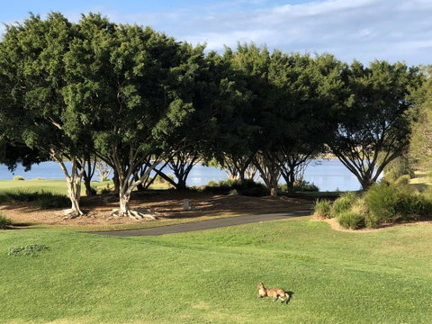 Waterfront Resort Villa With Buggy - Nambucca Heads Accommodation 21