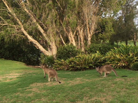 Waterfront Resort Villa With Buggy - Nambucca Heads Accommodation 19
