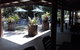 Speewah Country Tavern - thumb 9