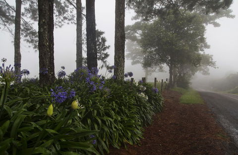 Bower 63 - Nambucca Heads Accommodation 26