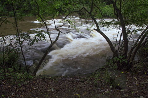 Bower 63 - Nambucca Heads Accommodation 24