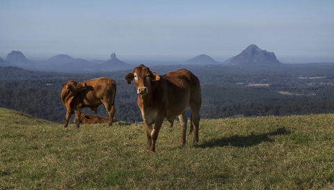 Bower 63 - Nambucca Heads Accommodation 29