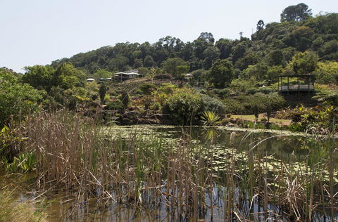 Bower 63 - Nambucca Heads Accommodation 32