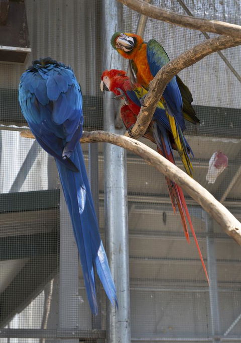 Bower 63 - Nambucca Heads Accommodation 35