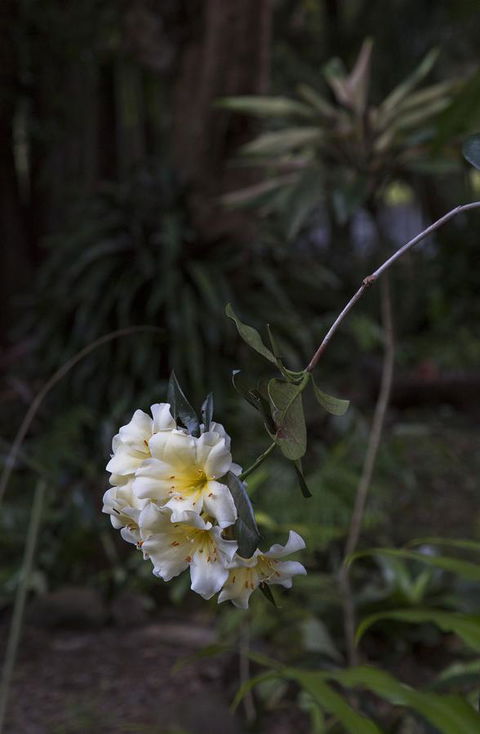 Bower 63 - Nambucca Heads Accommodation 18