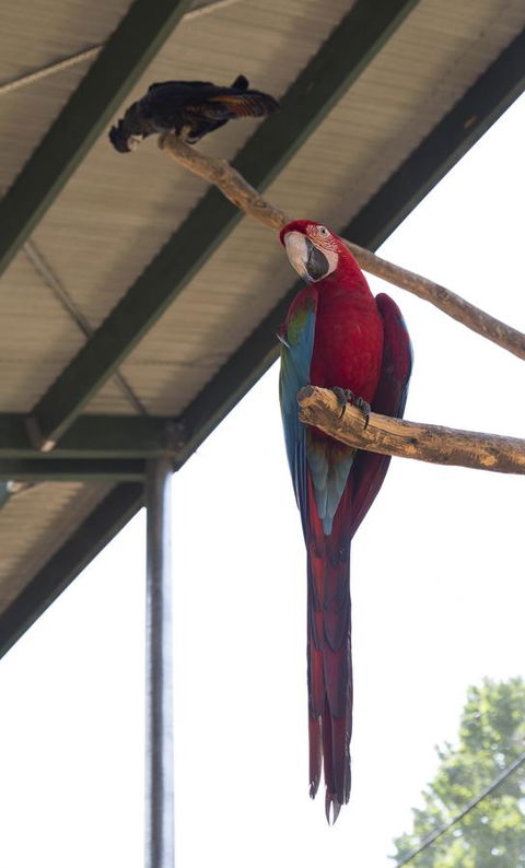 Bower 63 - Nambucca Heads Accommodation 36