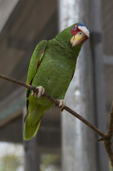 Bower 63 - Nambucca Heads Accommodation 34