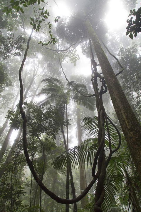 Bower 63 - Nambucca Heads Accommodation 39