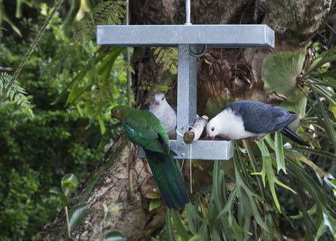 Bower 63 - Nambucca Heads Accommodation 22