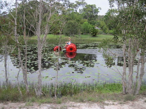 1770 Southern Cross Travellers Retreat - Nambucca Heads Accommodation 16