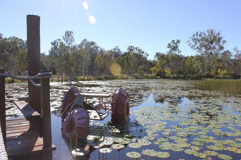 1770 Southern Cross Travellers Retreat - Nambucca Heads Accommodation 21