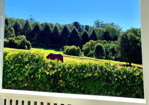 Hampton Estate Wines - Nambucca Heads Accommodation 11