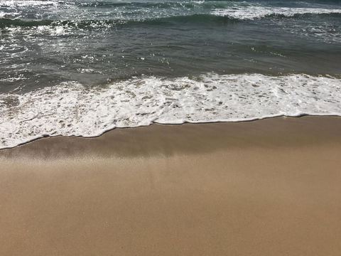 Meridian Alex Beach Apartments - Nambucca Heads Accommodation 2