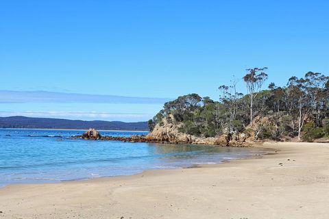 Whale Cove Circuit - Nambucca Heads Accommodation 1