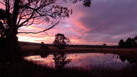 Wind Song Bed  Breakfast