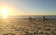 Wonky Pine Beach House, NARRWALLEE- 4 Bedroom - thumb 1
