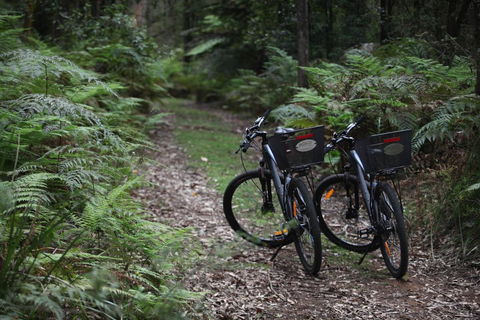 Woodlands Rainforest Retreat - Nambucca Heads Accommodation 2