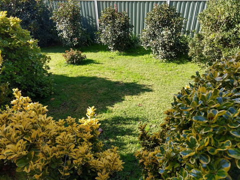 Young Goldrush Motel - Nambucca Heads Accommodation 3