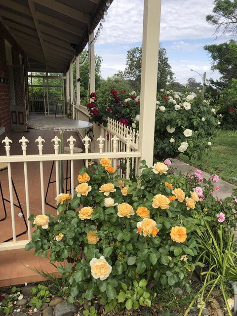 Zen Garde - Nambucca Heads Accommodation 1