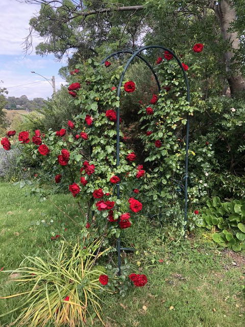Zen Garde - Nambucca Heads Accommodation 2